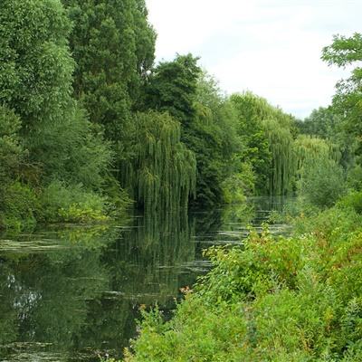 金年会官方APP下载